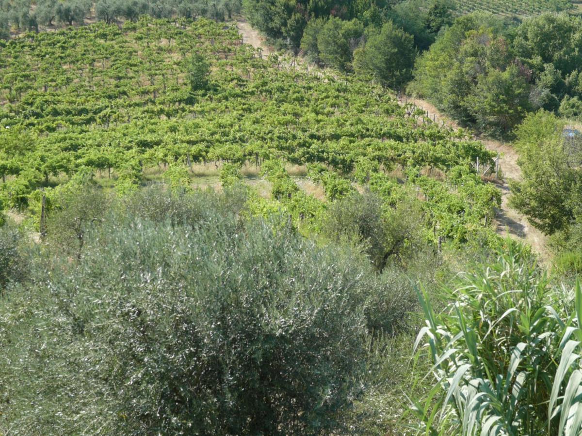 Agriturismo Santa Croce Сан Джиминяно Екстериор снимка